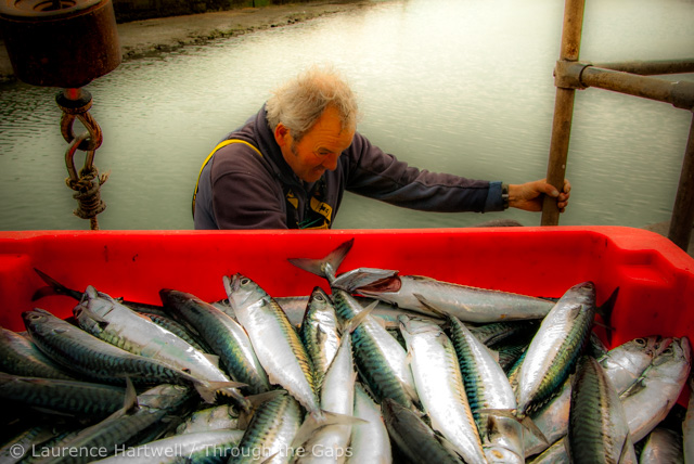 ThroughTheGaps's tweet photo. Fishermen - we'd go hungry without them. #WorldFisheriesDay https://t.co/Qqb7TK0EZ6