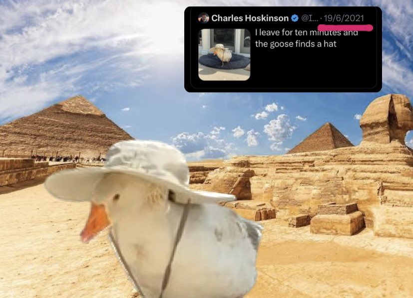 THIS GOOSE BEEN ROUND TOWN SINCE ANCIENT TIMES. LORE IS INSANE, CHARLES AHEAD OF THE CURVE 🪿🧠 <a href="/IOHK_Charles/">Charles Hoskinson</a> $GWIF