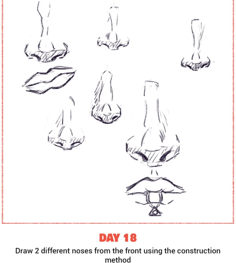 SirVioletFern's tweet image. День 18 і сьогодні кривулькав носики.

#learntodrawin30days