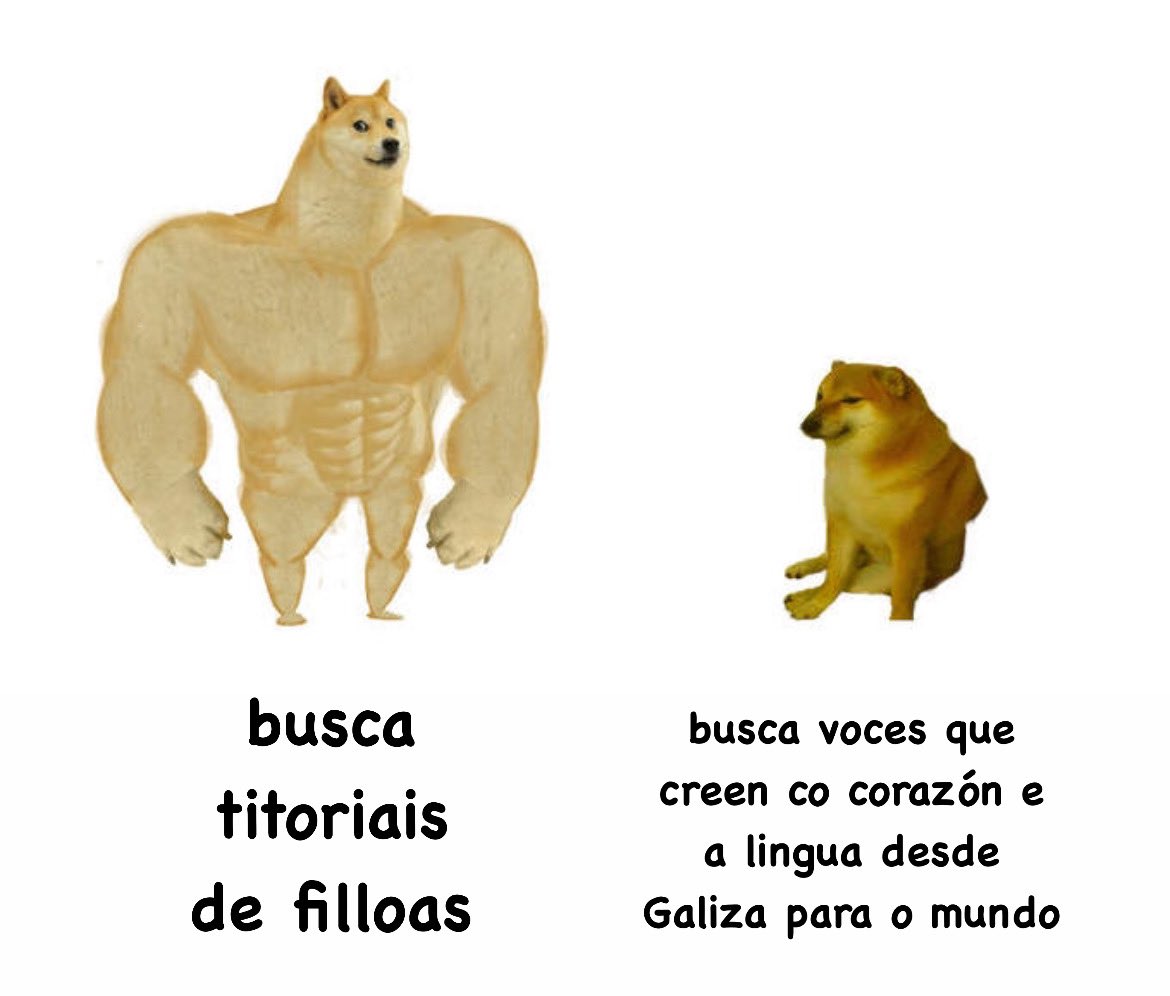 ê/o Nee Barros 🇵🇸 tweet media