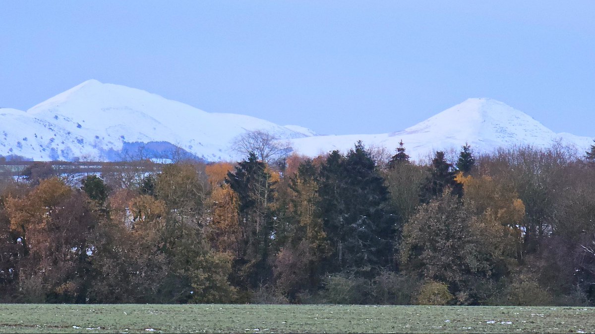 Tom Lowe (@saloplarus) on Twitter photo Autumn colour and the snowy Shropshire Hills from the drive this morning. Thrushes, Starlings and Skylarks starting to feel it ❄️ <a href="/ShropshireWX/">Shropshire Weather</a> #loveukweather Autumn colour and the snowy Shropshire Hills from the drive this morning. Thrushes, Starlings and Skylarks starting to feel it ❄️ <a href="/ShropshireWX/">Shropshire Weather</a> #loveukweather