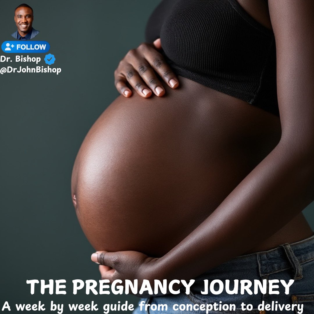 DrJohnBishop's tweet image. If you’re pregnant or have a pregnant family member this thread is for you. It is a very very very long thread so bookmark it and grab a drink.

This Week By Week Guide for you to understand what is happening inside you until the day your bundle of joy is delivered.

Pregnancy is…