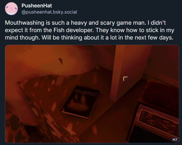 PusheenHat's tweet photo. gonna post there about games sometimes https://t.co/CsGUG64Lkh