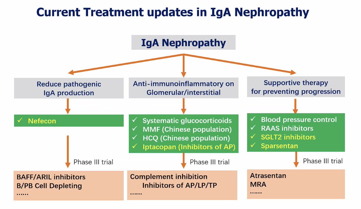 Panaromic view of Treatment in IgAN 
Dr Muh Geot Wong at <a href="/GlomCon/">GlomCon</a>