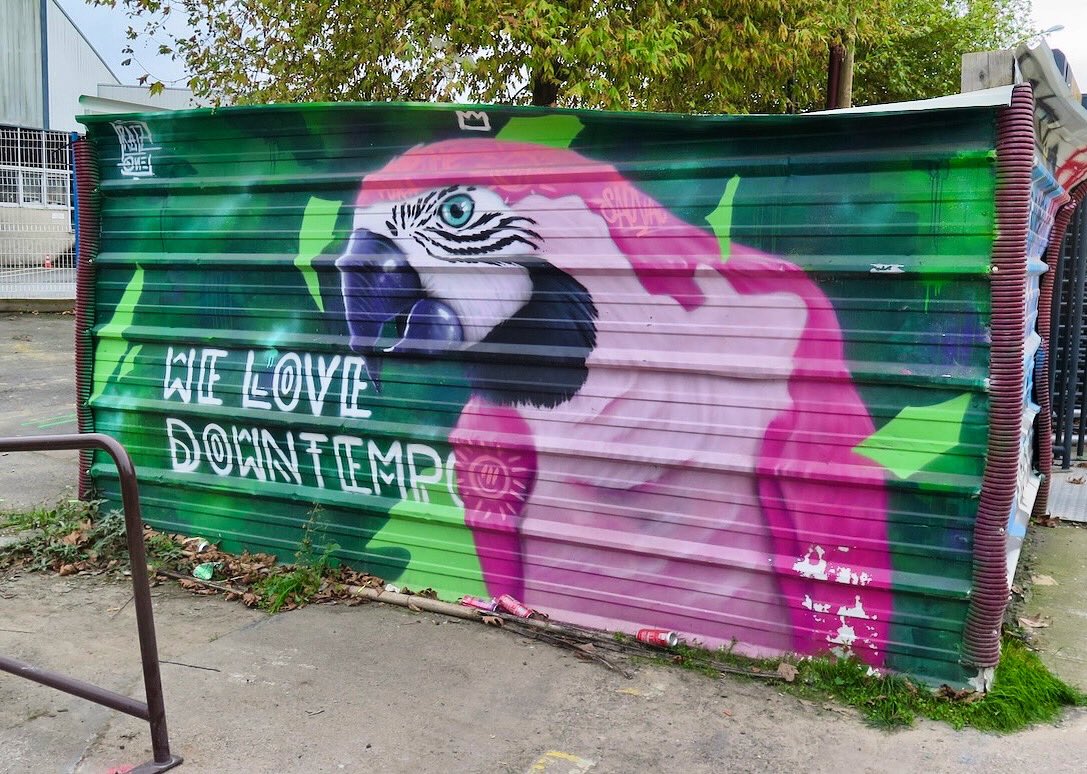 zerbihancok tweet media