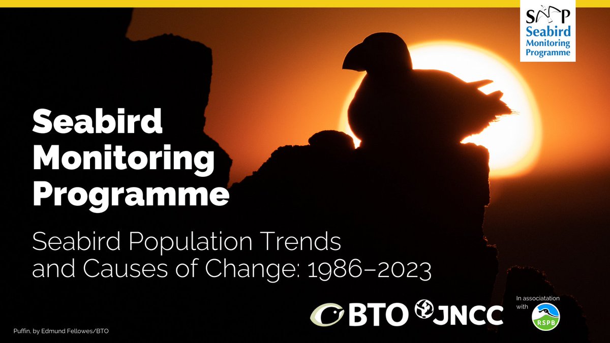 1/ Out now!🔊 The SMP Report provides an overview of the status of the UK’s breeding #seabirds since 1986. It further highlights declines as shown by the recent Seabirds Count, a census of Britain &amp; Ireland’s seabirds. Discover more ⬇️

See the report➡️bto.org/smp-publicatio…