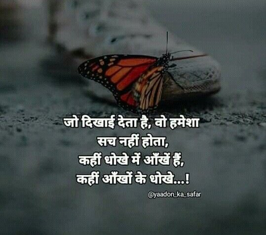 Soullines🦋 tweet media