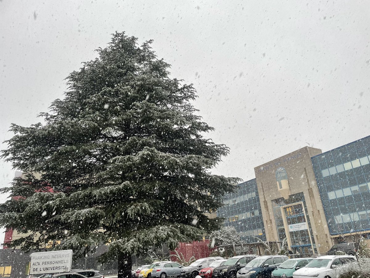 Pour une fois la faculté des sciences sous la neige …