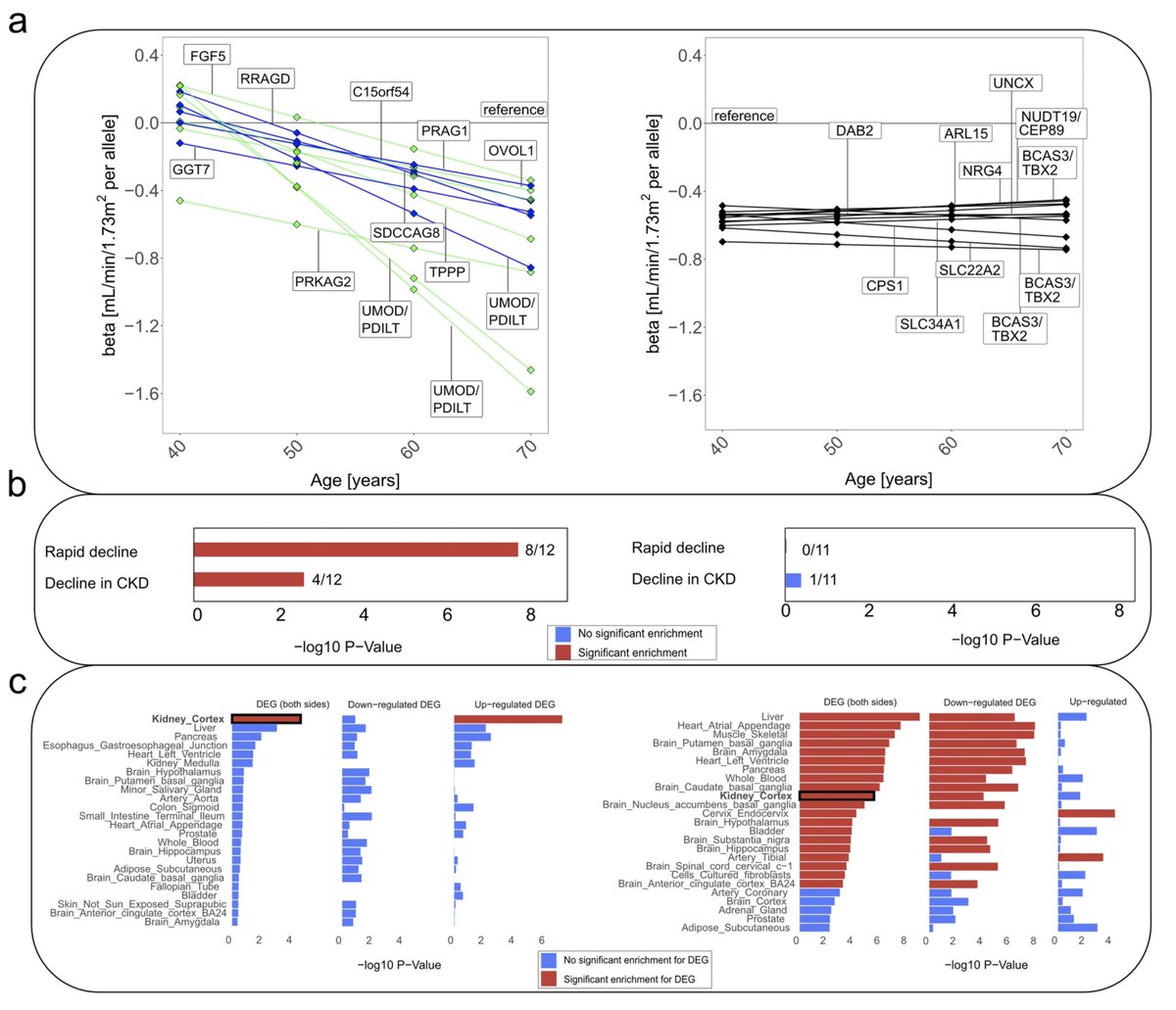 Our study "Analyzing longitudinal trait trajectories using GWAS identifies genetic variants for kidney function decline" led by Simon Wiegrebe and Iris Heid just out in <a href="/NatureComms/">Nature Communications</a>  nature.com/articles/s4146…