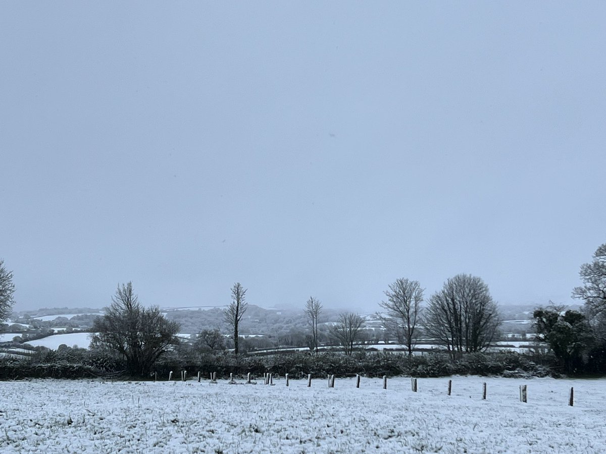_DebbiesDesigns's tweet image. Milking time in the snow this morning, we don’t see much of this in Cornwall