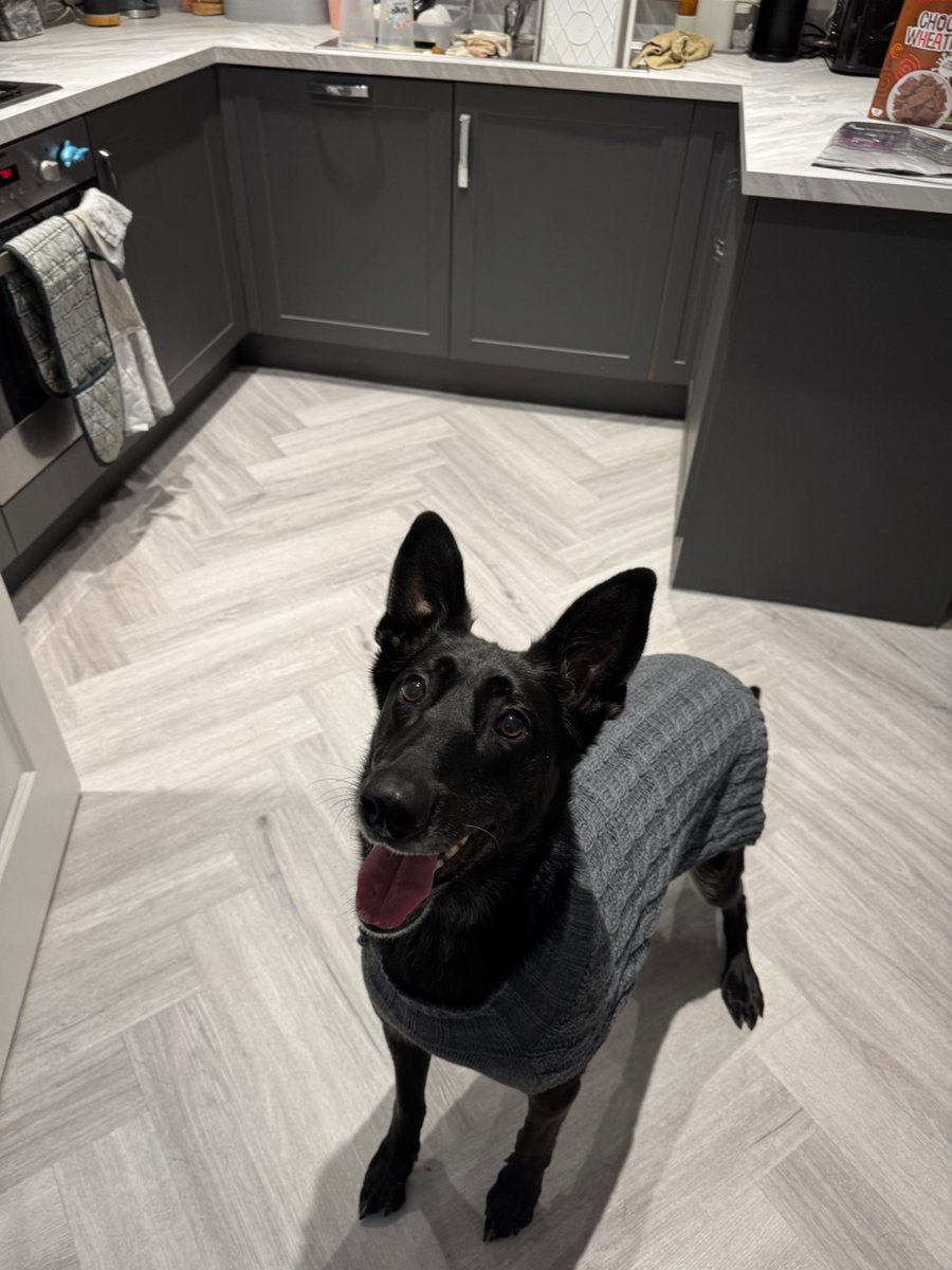 RPDJet's tweet photo. Sweater weather❄️ https://t.co/A4ixQAqS22