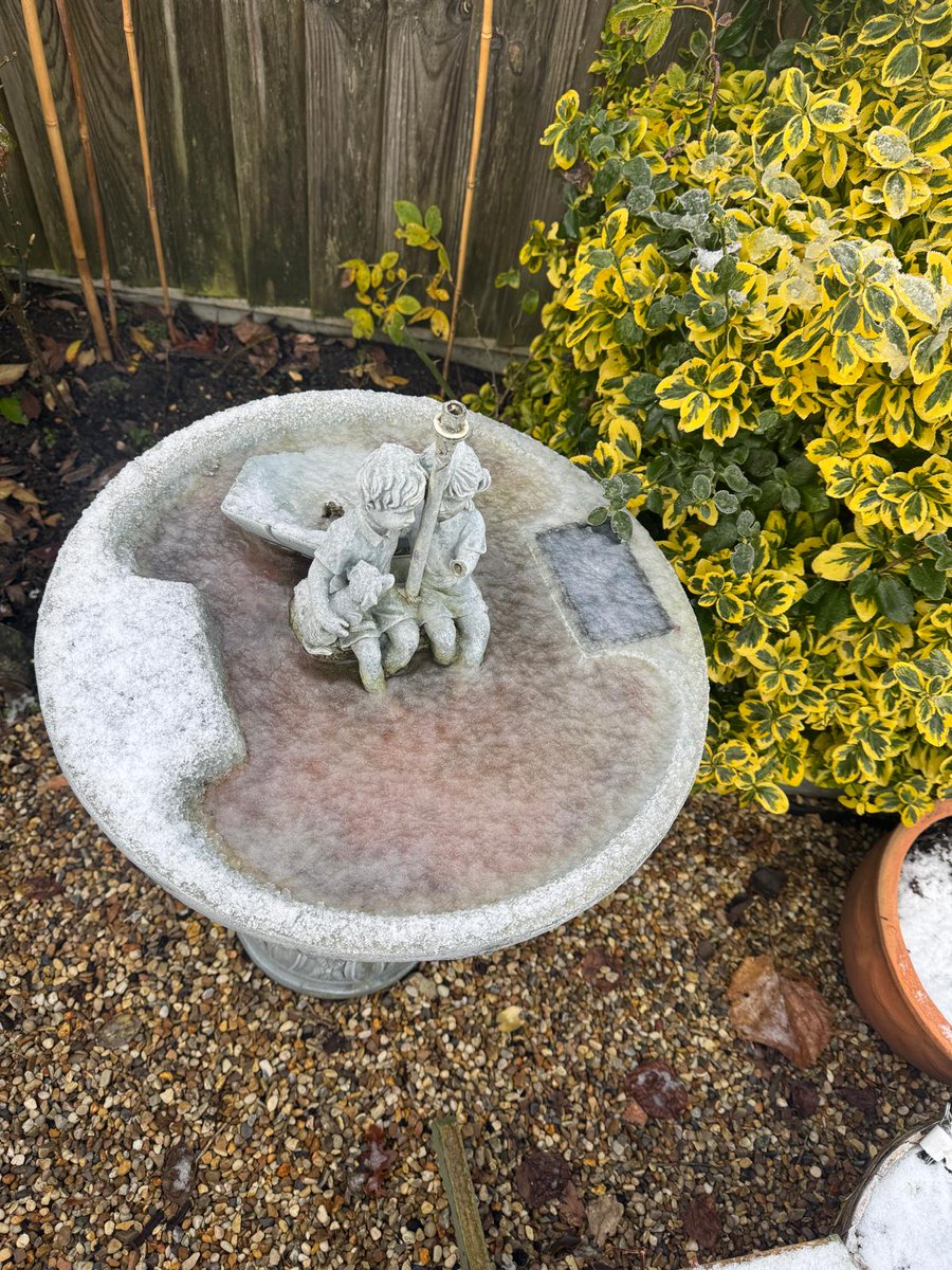 If only they had requested our temporary boiler hire😊
 #heating #hotwater  #giveheating #temporaryboiler #heatingingeneers