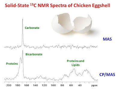 Solid-state 13C NMR of egg shells : information content of CPMAS vs Bloch decay spectra u-of-o-nmr-facility.blogspot.com/2016/03/solid-… #nmrchat