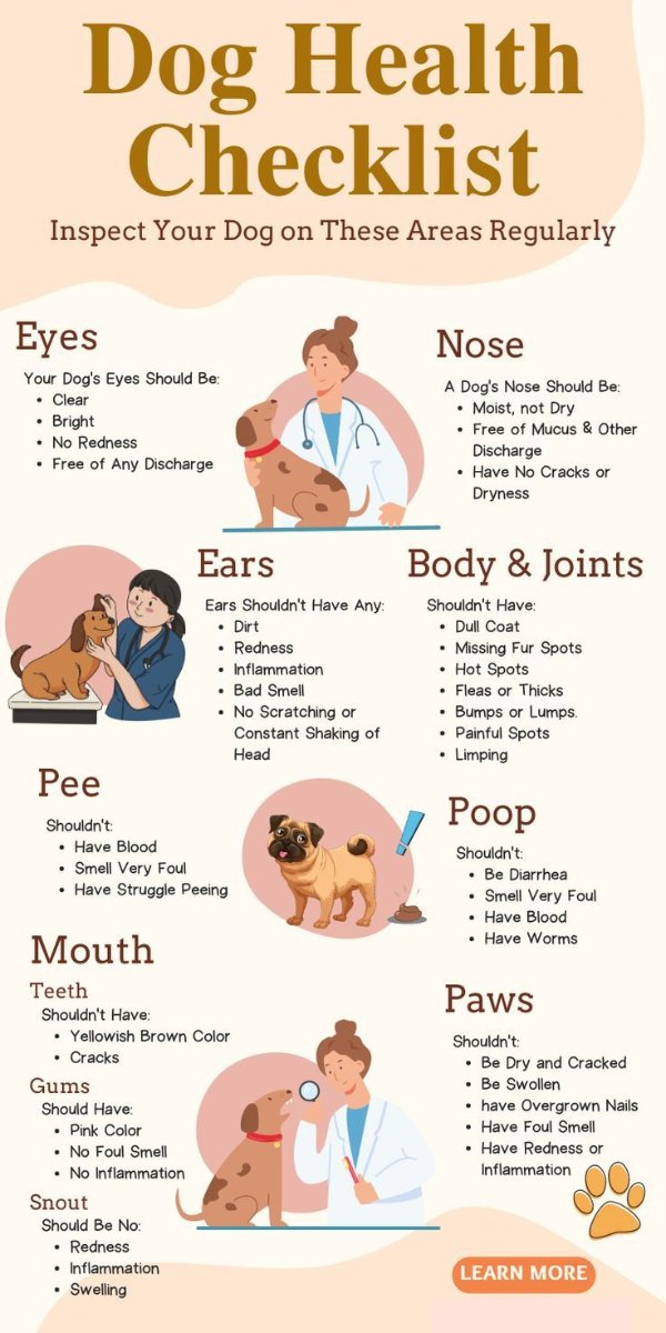 WoofTroop's tweet photo. Keep your furry friend healthy and happy! Here's a simple Dog Health Checklist 🐶✨ Regular checks = a healthier pup. 🩺 Share this to spread awareness! #DogCare #PetHealth #HealthyDogs https://t.co/uCNwPXzOLE
