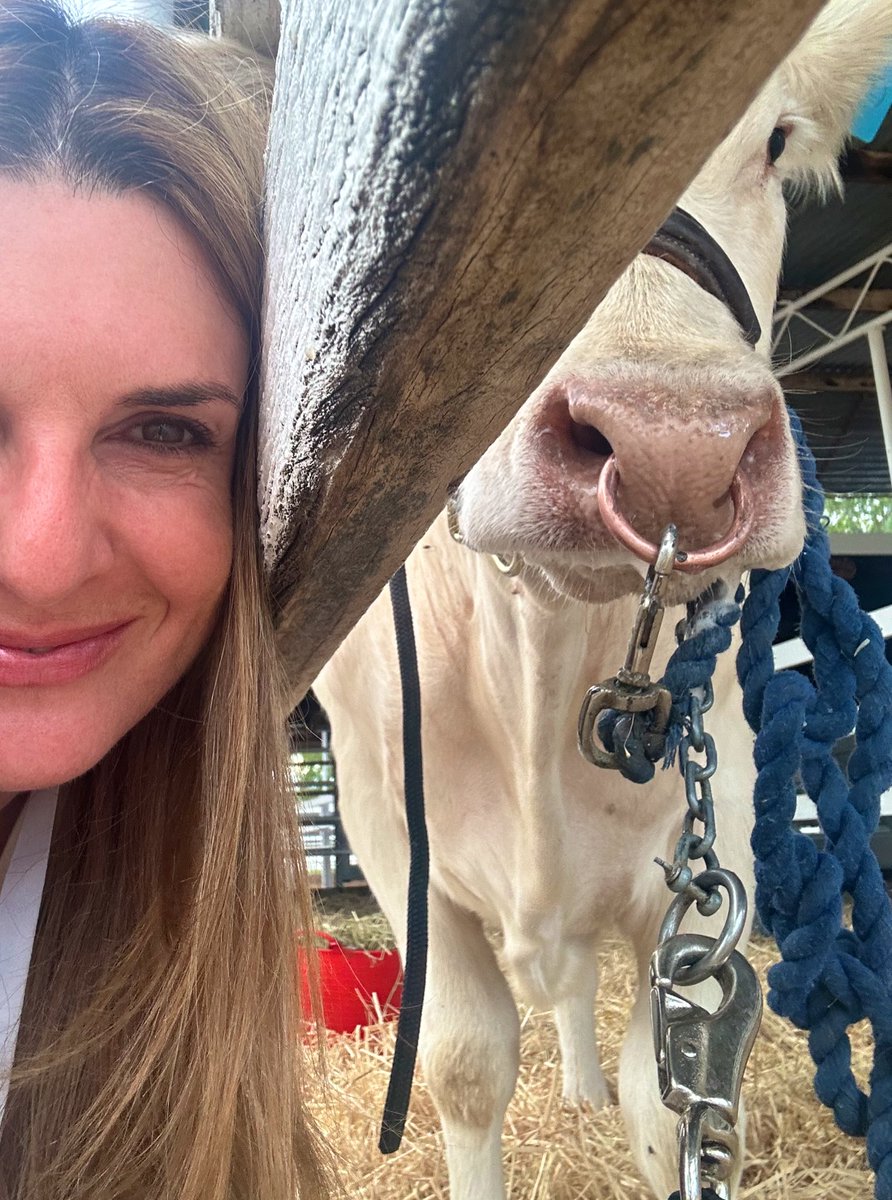 GemmaTognini's tweet photo. I called him Bert ๐
#CattleConnect https://t.co/Undx68dDCN