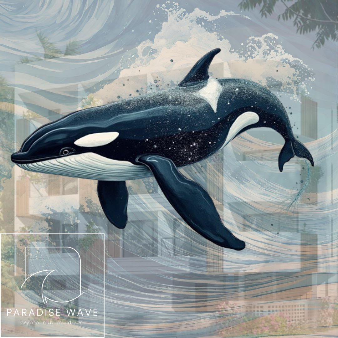 Smart whales accumulate with a long term vision and strategy. While you might not realize it, we have lot of diamond hand whales who have been supporting $PRDS. 

And more whales will be lined up to scoop more $PRDS soon. The waves said so😤

#BNB #RWA #PRDS #ParadiseWave