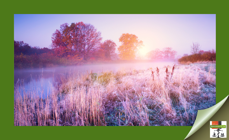 Rituale und Heilkräuter für innere Balance in unserer Naturheilpraxis. #Heilkräuter #InnereBalance