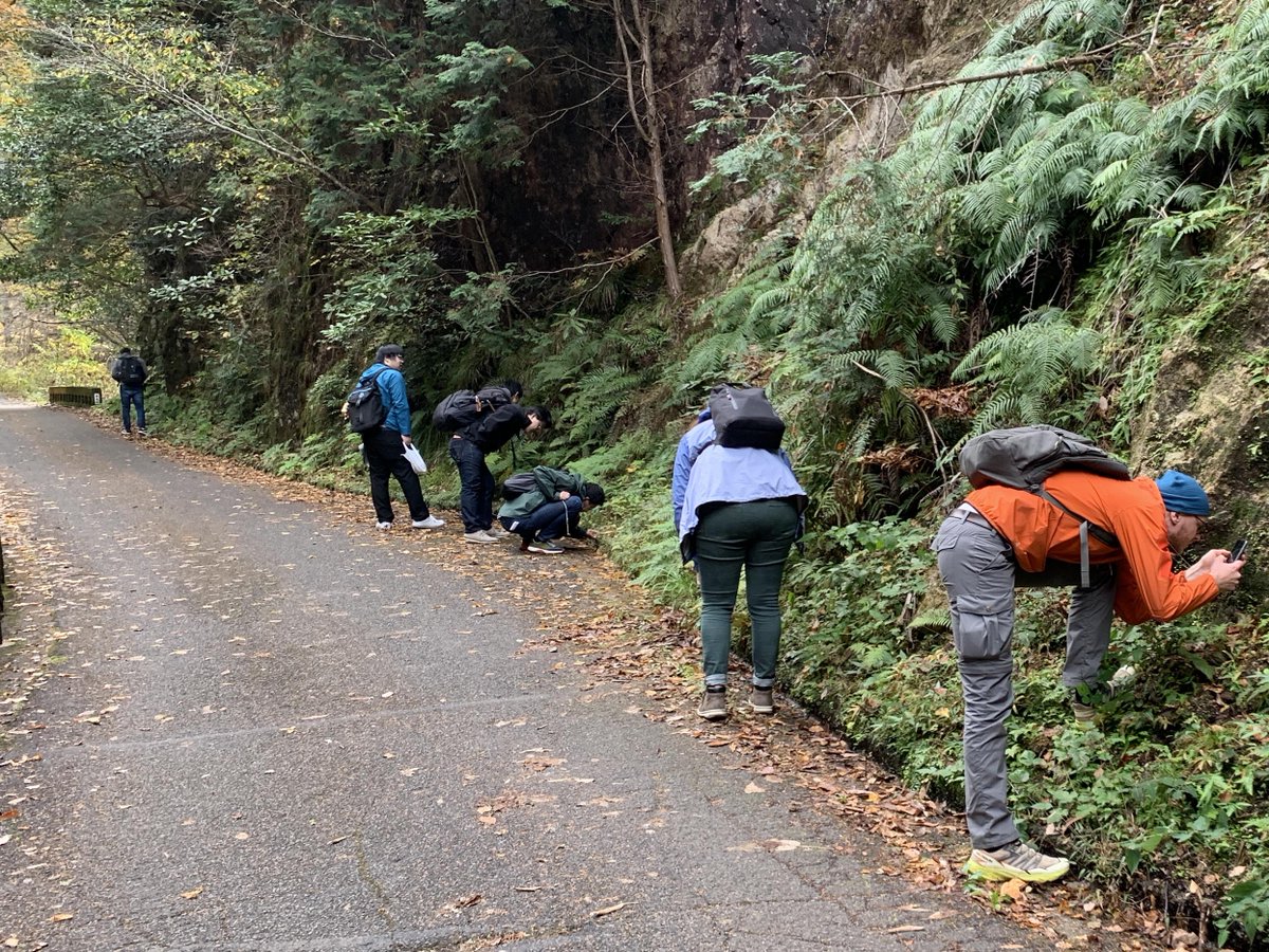 The last day of the International #Marchantia Workshop 2024. I took 40 molecular geneticists to fieldwork.  Check out my idea for entertaining them.