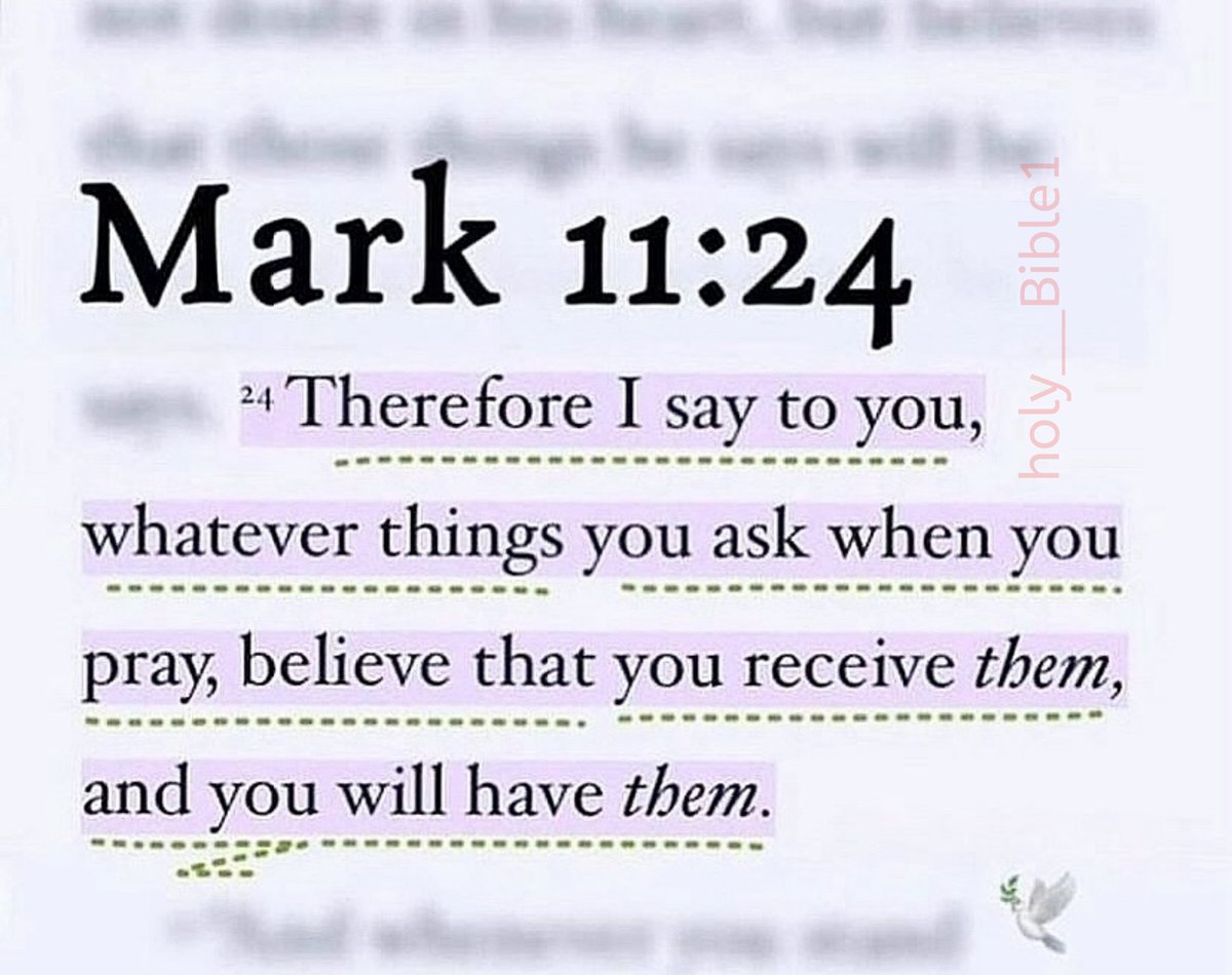 Holy Bible tweet media