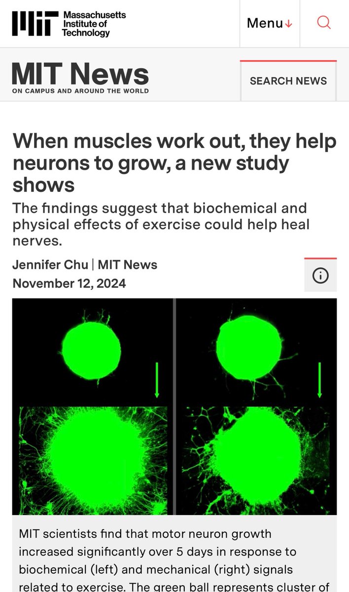 حمل الاوزان = نمو الخلايا الدماغية

احمل اوزان واشفي خلايا دماغك 💪