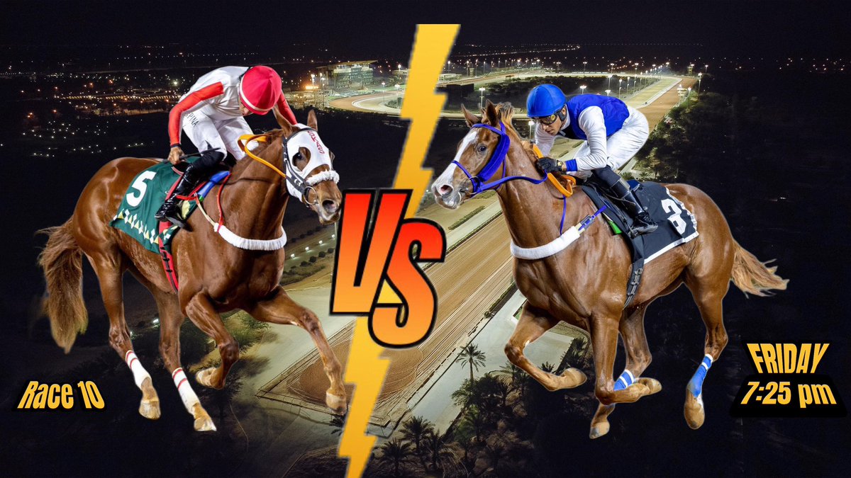 نادي سباقات الخيل tweet media