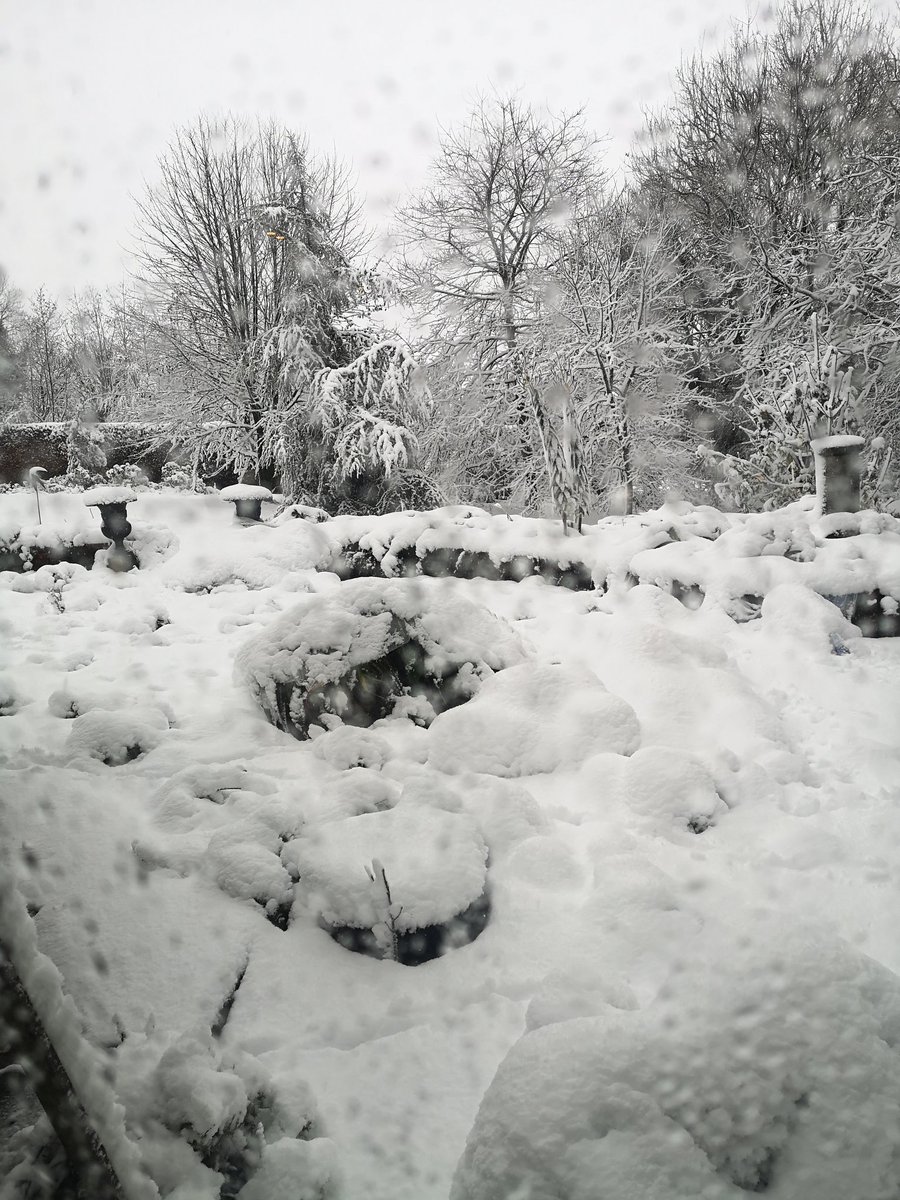 Sean Lavery tweet media