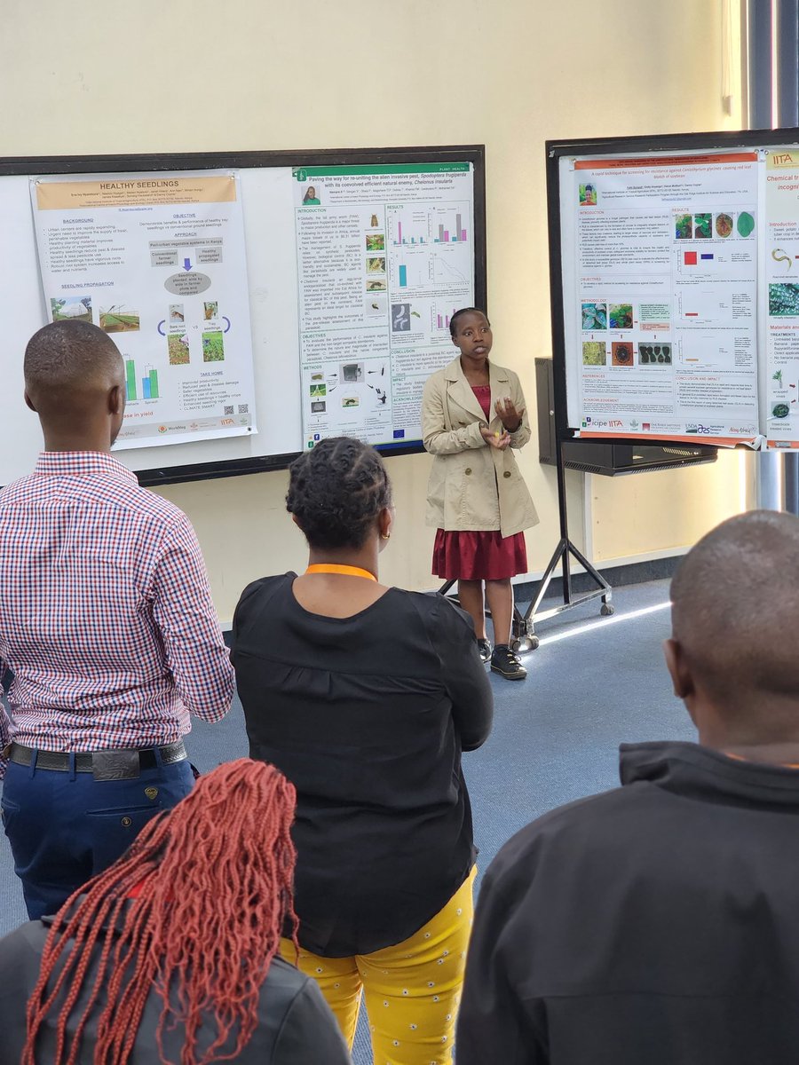 iarsaf_iita's tweet photo. More photo highlights on the 3rd Technical Session and Poster/Oral Presentations at ICIPE, Kenya, which held on Wednesday, 20th, November, 2024...

#iarsaf2024 
#iarsaf27thannualsymposium 
#iarsafkenya 
#Symposium2024 
#researchers 
#icipe 
#IITA https://t.co/ajC9wHSkWC
