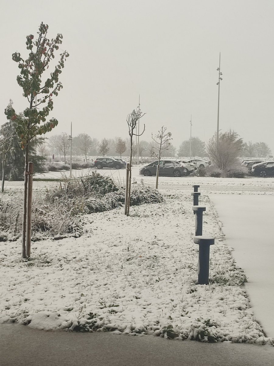 J'ai dû partir du boulot, 7cm de neige en moins de 3h, flemme de rester bloquée parce que le réseau bus.. bref. C'est beau par contre j'suis comme une gamine 🩷
