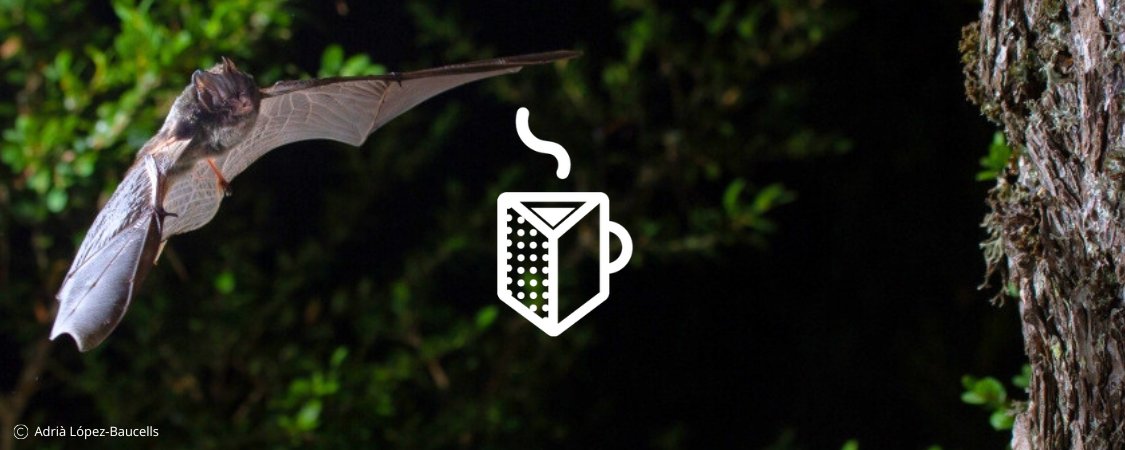 Prismàtic (@prismatic_nat) on Twitter photo Tota la informació que necessites sobre el #cafèPrismàtic:
💡La tecnologia pel seguiment i estudi de ratpenats com a indicadors de qualitat ambiental
🗓️Dimarts 26/11 de 12-13 h
👥<a href="/dlobo_wildlife/">David López-Bosch</a> <a href="/mcngranollers/">Museu de Ciències Naturals de Granollers</a> i Oriol Grau <a href="/pnaltpirineu/">Parc Natural de l'Alt Pirineu</a>
🖥️ Via Zoom
📝 docs.google.com/forms/d/e/1FAI… Tota la informació que necessites sobre el #cafèPrismàtic:
💡La tecnologia pel seguiment i estudi de ratpenats com a indicadors de qualitat ambiental
🗓️Dimarts 26/11 de 12-13 h
👥<a href="/dlobo_wildlife/">David López-Bosch</a> <a href="/mcngranollers/">Museu de Ciències Naturals de Granollers</a> i Oriol Grau <a href="/pnaltpirineu/">Parc Natural de l'Alt Pirineu</a>
🖥️ Via Zoom
📝 docs.google.com/forms/d/e/1FAI…