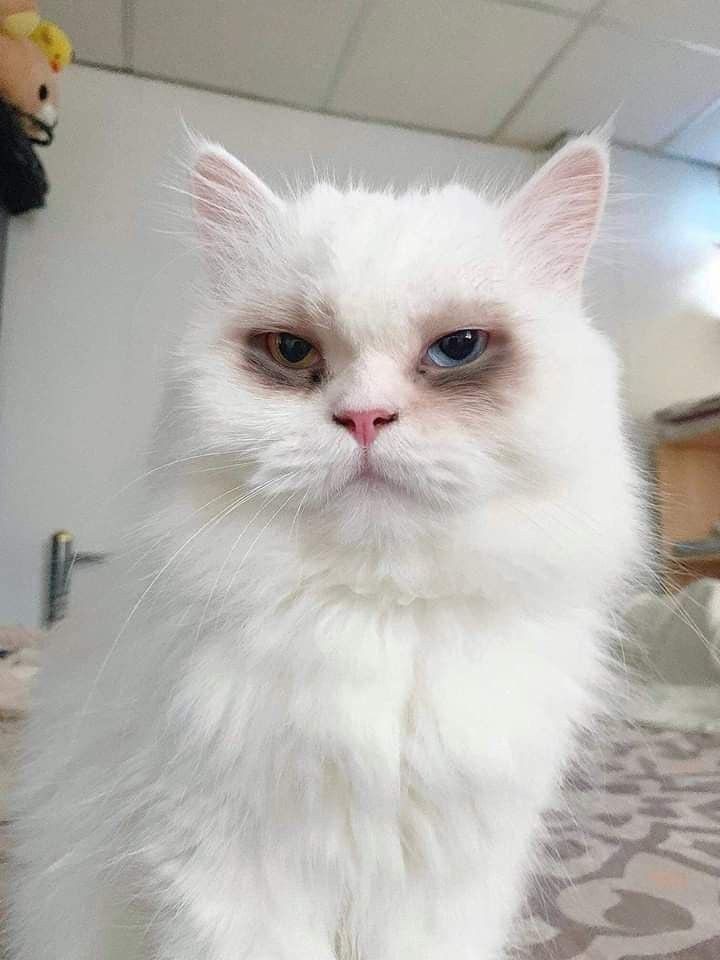 "Did u sleep well?"
Me: