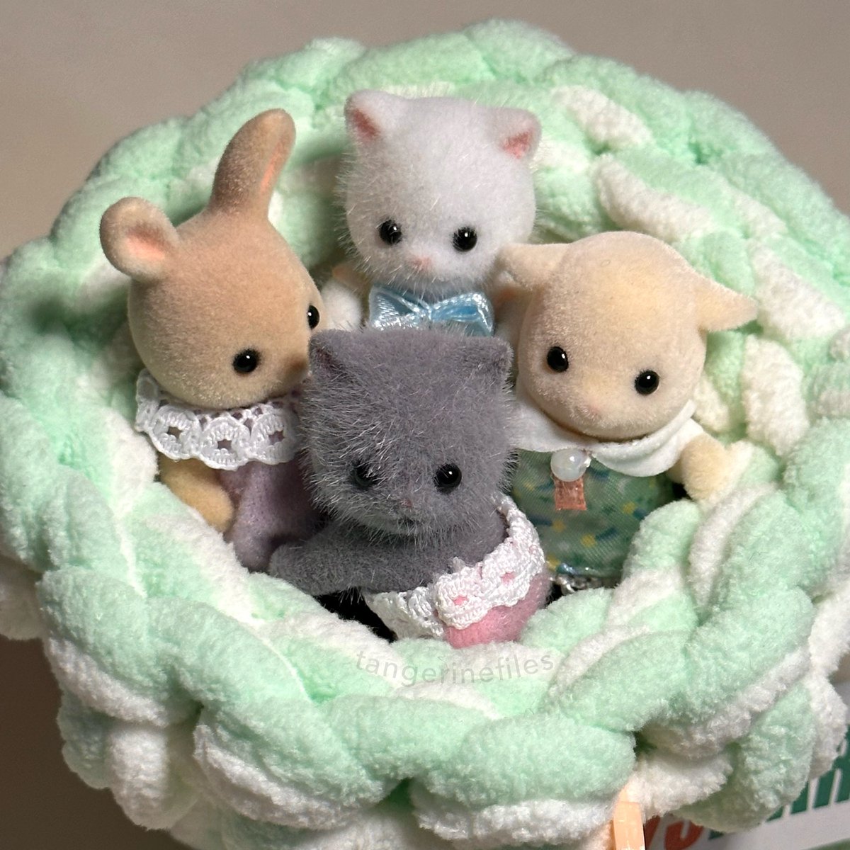 tangerinefiles's tweet image. babyccino☕️🎀