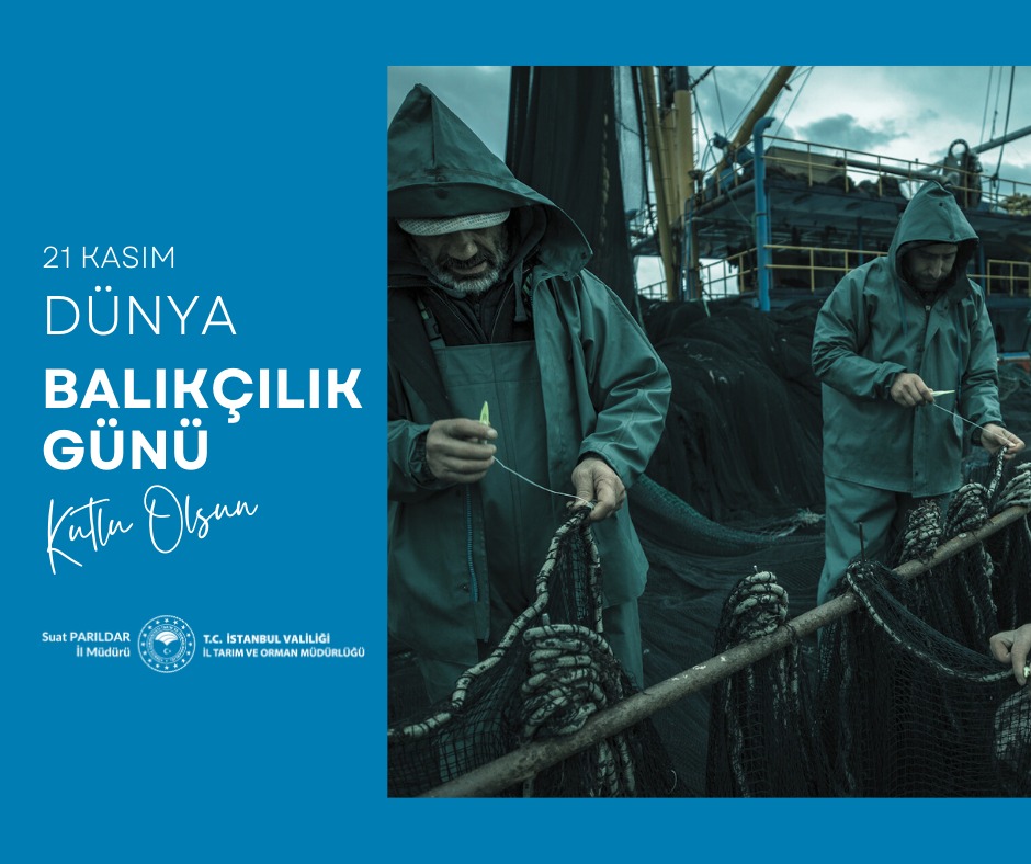 Balıkçılık sektörüne emek veren, suların bereketini sofralarımıza taşıyan ve sürdürülebilir balıkçılık için çaba gösteren tüm paydaşların 21 Kasım Dünya Balıkçılık Günü kutlu olsun! 🐟🌊

<a href="/TCTarim/">T.C. Tarım ve Orman Bakanlığı</a> <a href="/ibrahimyumakli/">İbrahim Yumaklı</a> <a href="/TC_istanbul/">TC İstanbul Valiliği</a> <a href="/gul_davut/">Davut GÜL</a> <a href="/bsgmtr/">Balıkçılık ve Su Ürünleri Genel Müdürlüğü</a> <a href="/sparildar69/">Suat PARILDAR</a>