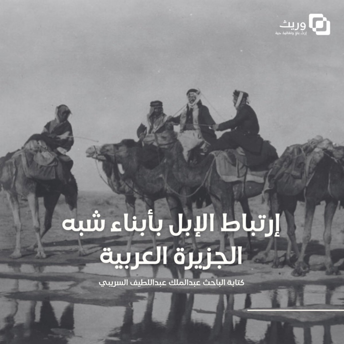 عبدالملك السريبي tweet media