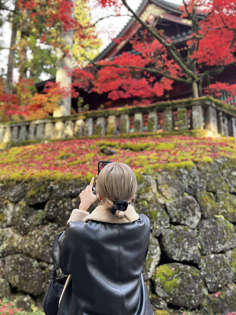 紅葉とハイトーンの相性良すぎる気がする