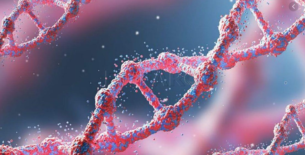 Como líderes no podemos cambiar el “ADN” de las personas de la organización, pero sí podemos influenciar la cultura y los hábitos organizacionales para que ellos mejoren su bienestar y por lo tanto su impacto positivo. <a href="/Epigenetica/">Epigenética</a> Organizacional