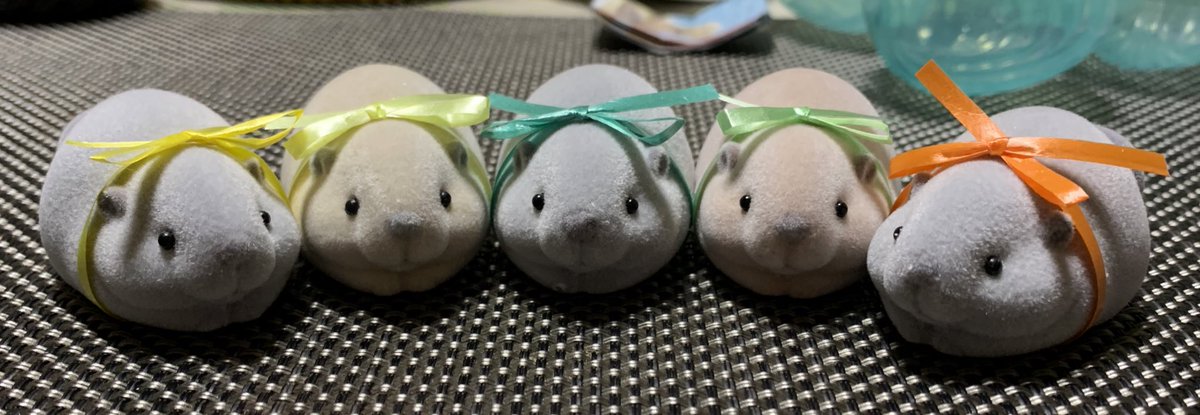 kohane112's tweet photo. かわいい
名前とリボンつけた🎀 https://t.co/Xh0649ZJgz