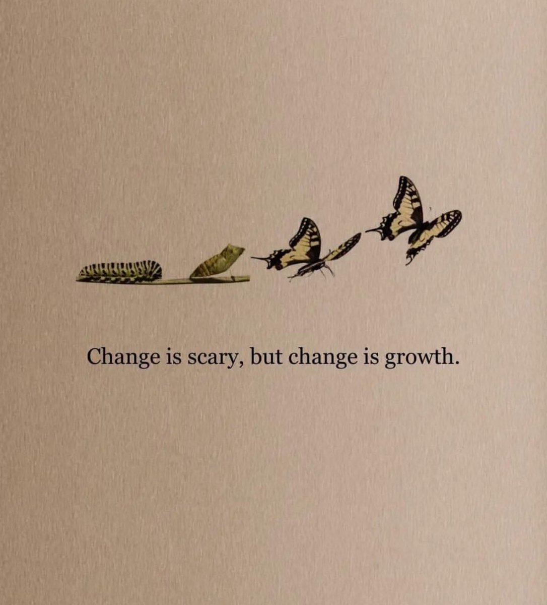 wordstionary's tweet image. 🤍