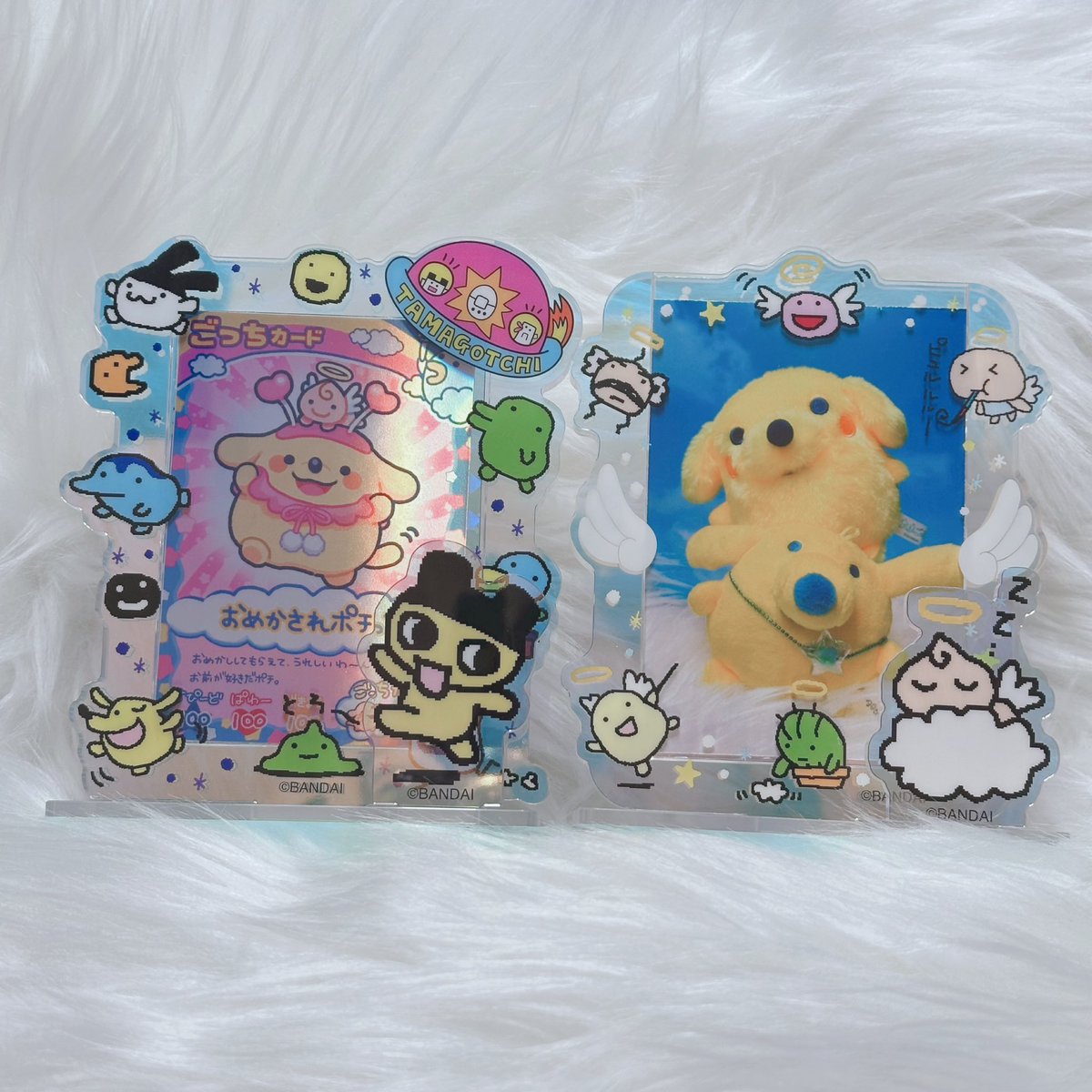 かわいいちゃん🐶