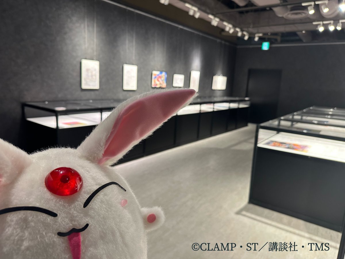 リボンの騎士 セル画 2　31日まで60000円引き 魔法騎士レイアース（公式） on X: 