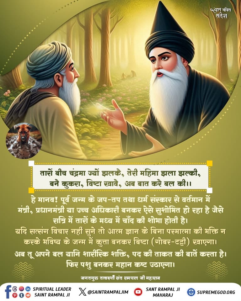 #GodNightThuresday
तारों बीच चंद्रमा ज्यों झलकै, तेरी महिमा झला झल्की, बनै कुकरा, विष्टा खावै, अब बात करै बल की ।।

हे मानव ! पूर्व जन्म के जप-तप तथा धर्म संस्कार से वर्तमान में
मंत्री, प्रधानमंत्री या उच्च अधिकारी बनकर ऐसे सुशोभित हो रहा है जैसे
⤵️