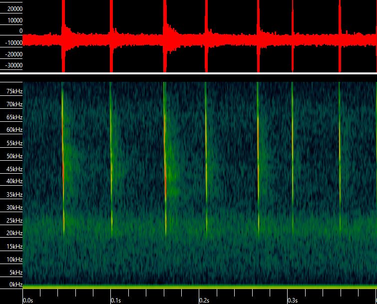 Alan Knox (@alangknox) on Twitter photo There are still occasional #bats out and about in this freezing weather with snow on the ground. Natterer's Bats are rare in the garden, but there was one last night - probably the latest ever in the NE.
<a href="/NESMammals/">North East Scotland Mammal Network</a> <a href="/Mammal_Society/">Mammal Society</a> <a href="/_BCT_/">Bat Conservation Trust</a> There are still occasional #bats out and about in this freezing weather with snow on the ground. Natterer's Bats are rare in the garden, but there was one last night - probably the latest ever in the NE.
<a href="/NESMammals/">North East Scotland Mammal Network</a> <a href="/Mammal_Society/">Mammal Society</a> <a href="/_BCT_/">Bat Conservation Trust</a>