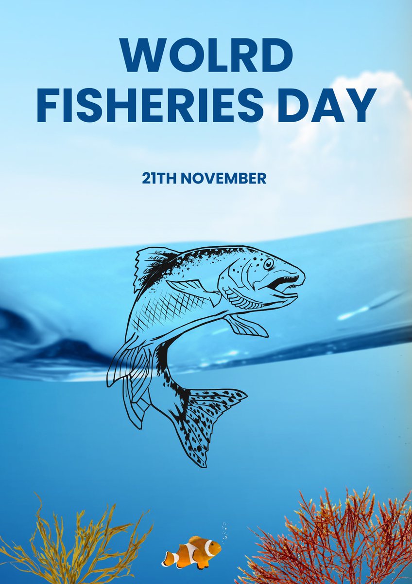 Blueocare's tweet photo. Celebrating World Fisheries Day - November 21st

Today, we honor the vital role fisheries play in sustaining life on our planet. Fisheries are more than just a source of food; they are a cornerstone of livelihoods, cultures, and ecosystems worldwide. https://t.co/OMDJ0kyvcU