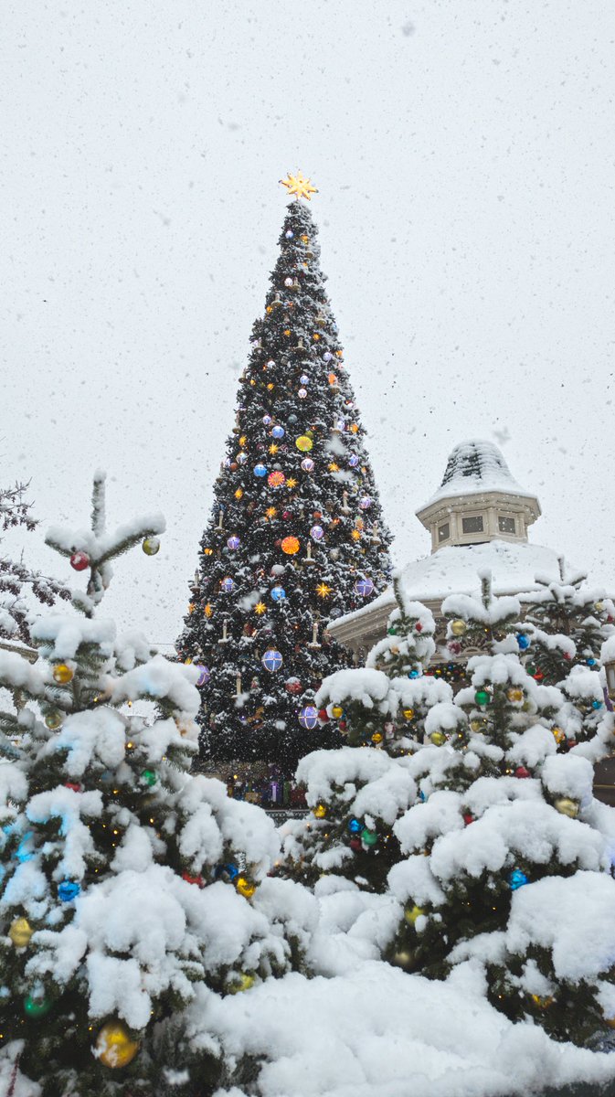 ThomMcDuck's tweet photo. 🌨️🥶❄️ https://t.co/FWkcW6dhw5