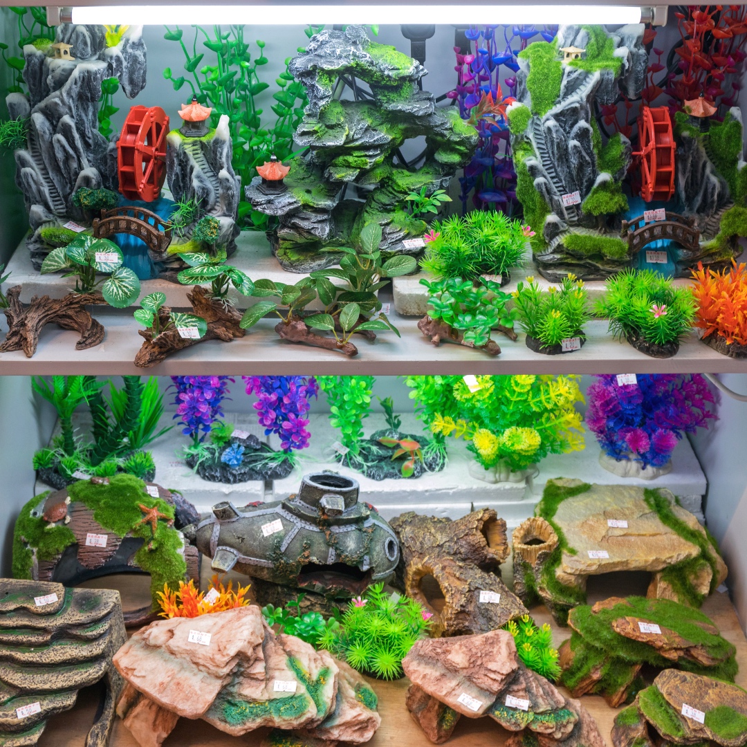 Many think pet fish are content just swimming, but they need enrichment too. You can ensure a happy life by adding plants, hiding spots, and colorful rocks to their tank. Shop fish tank products in our ONLINE STORE only: penguinly.social/AbwrxW #PetStore #Pets