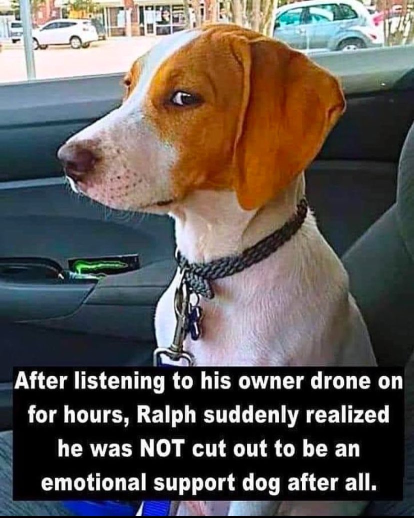 R.G. Ryan tweet media