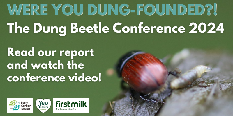🪲The #DungBeetle Conference at <a href="/yeovalley/">Yeo Valley</a> Holt Farm back in June was a truly collaborative event that helped put this tiny beast on the #FarmVet agenda.
Read our report--and watch the fab conference video by <a href="/Stuart_Oates/">Stuart Oates</a> !👇 
farmcarbontoolkit.org.uk/2024/10/31/the…
<a href="/hayneoak/">Liz Bowles</a> <a href="/first_milk/">First Milk</a>