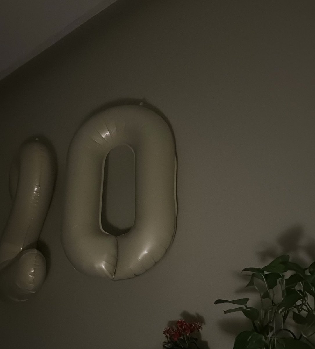 Rh25012's tweet photo. It's my 20th birthday!!!! https://t.co/9RJRRst3xA
