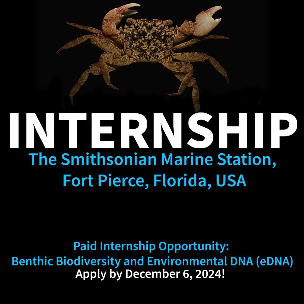 The Crustacean Society (@crustaceansoci) on Twitter photo ๐ Paid Internship: Study marine biodiversity & eDNA at Smithsonian Marine Station!
$400/week for 1 year. Apply by Dec 6 and send a statement of career interests and CV to sweatl@si.edu
๐ Details: IRLSpecies.org or <a href="/BenthicBrigade/">SMS Benthic Ecology Lab</a>
๐ธ Ffish.asia (CC) ๐ Paid Internship: Study marine biodiversity & eDNA at Smithsonian Marine Station!
$400/week for 1 year. Apply by Dec 6 and send a statement of career interests and CV to sweatl@si.edu
๐ Details: IRLSpecies.org or <a href="/BenthicBrigade/">SMS Benthic Ecology Lab</a>
๐ธ Ffish.asia (CC)