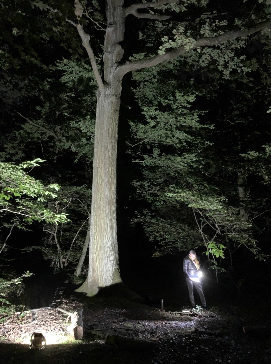 fred griot tweet media