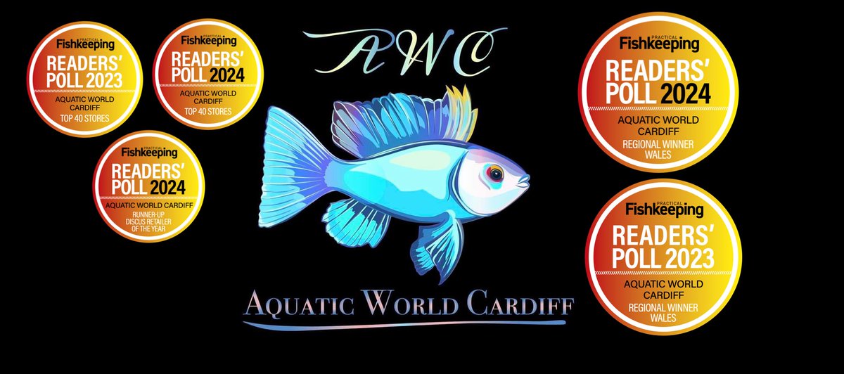 AquaticWorldUK's tweet image. Thankyou everyone who took the time to support us and vote for us in the #practicalfishkeeping readers poll. We achieved regional winner for Wales , A place in the Top 40 Store in the uk. And we also received runner up for discus retailer of the year . Thankyou so much